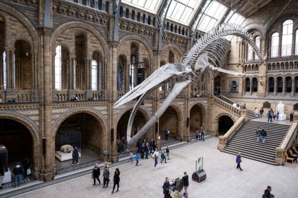 Natural History Museum